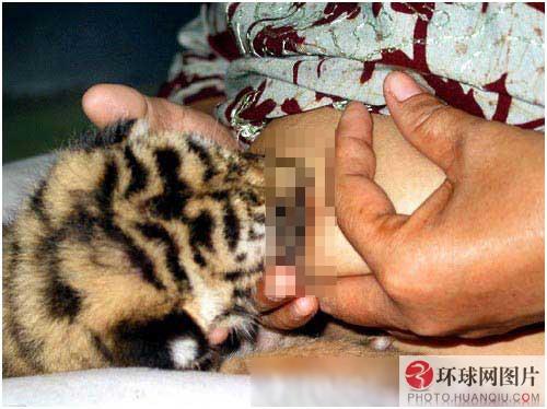 大胸部砸西瓜瞠目结舌 搞笑图片