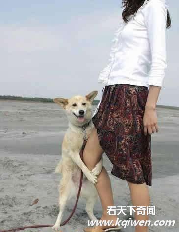 天底下最大胆的色狼最疯狂的狗当街当众非礼女人
